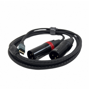 Cable USBC A 2 Xlr Macho De 2 Metros De Largo